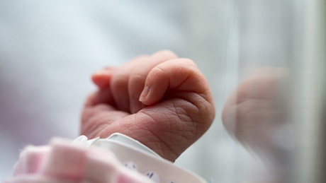 New information revealed by University of Aberdeen study could help inform treatment of premature babies