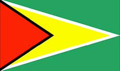 Flag of Guyana