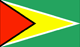 Flag of Guyana