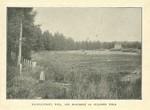 B3 052 - MacGillivary's Well, and monument, Culloden Moor, Invernesshire