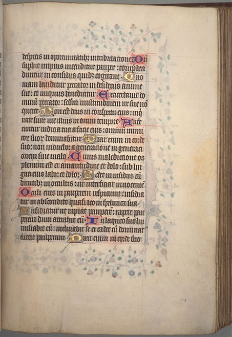 Burnet
Psalter  image