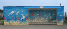 Catterline Primary School shelter shed murals