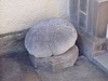 Brain Coral fossil Banff Castle