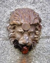 Lion spout