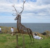 Stag sculpture