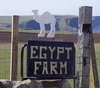 Egypt Farm Sign