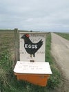 Eggs and neeps for sale sign