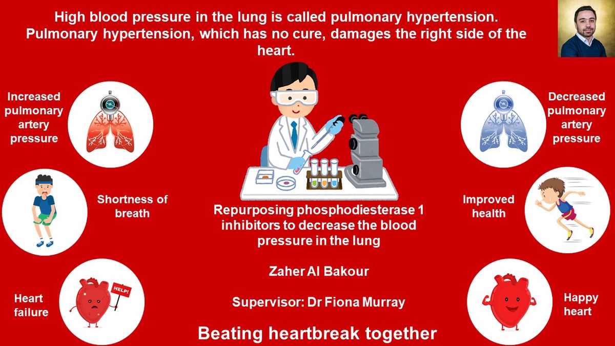 Slide showing Zaher Al Bakour's research project