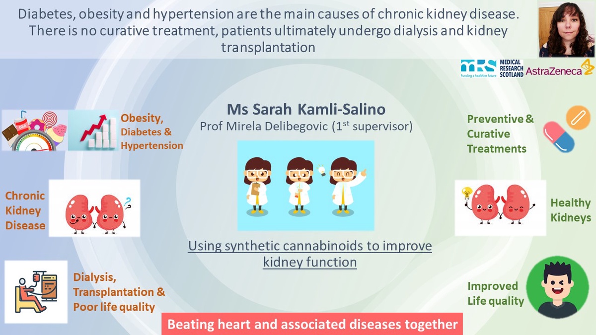 Slide showing Sarah Kamli-Salino's research project