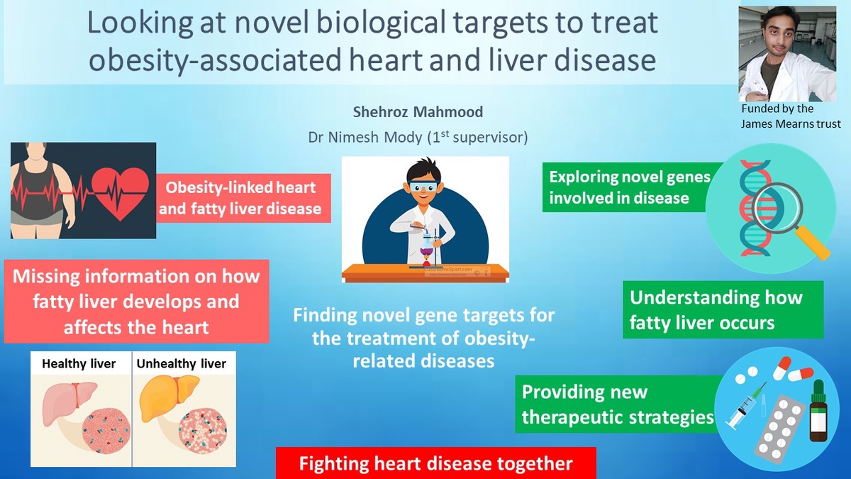 Slide showing Shehroz Mahmood's research project