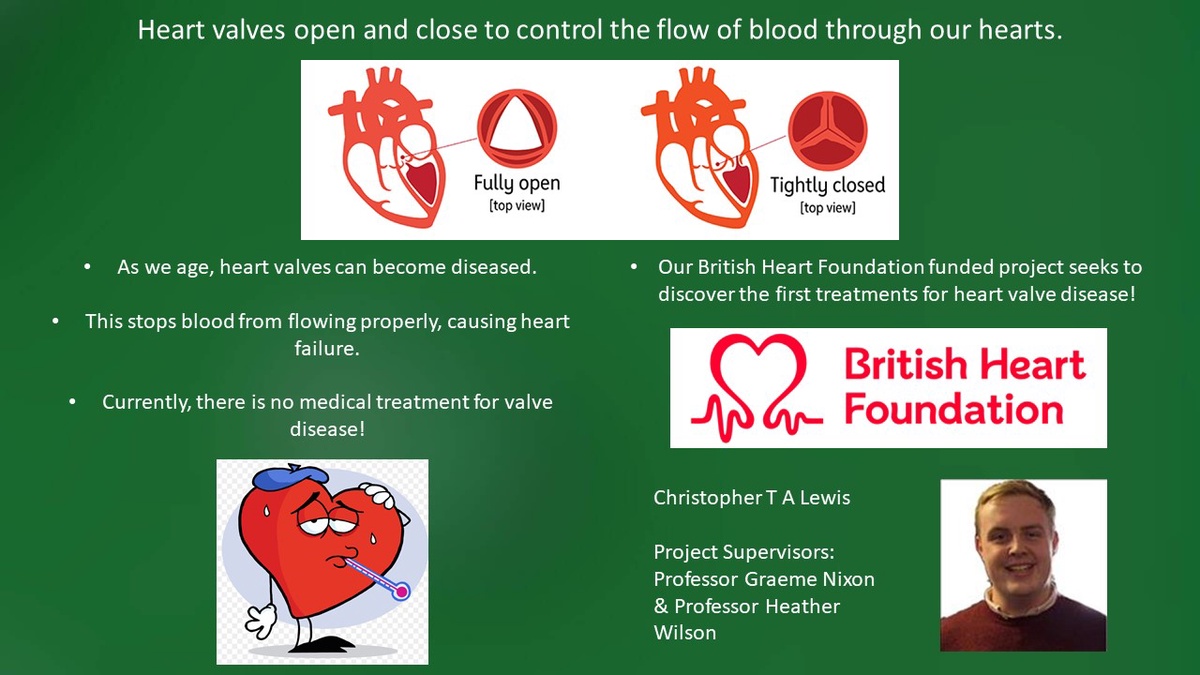 Slide showing Christopher Lewis' research project