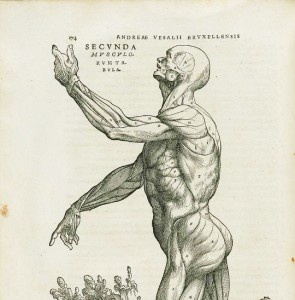 Vesalius edition in UoA