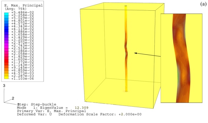 Fig 2a