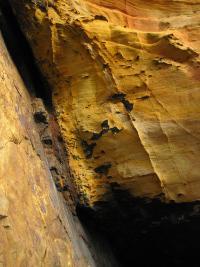 Image of Permo-Triassic aeolian sandstones that crop out on the Moray Coast