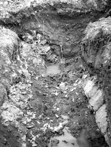 Photograph of one of the trenches dug in 1963 showing a chert bed dipping steeply to the northeast (to the right in photograph).