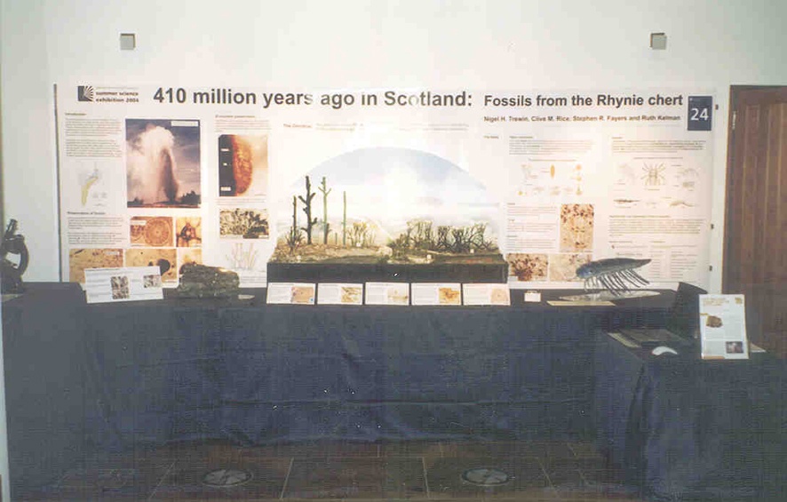 Front view of the exhibit, the centrepiece being a diorama showing how the Rhynie area may have looked 410 million years ago.