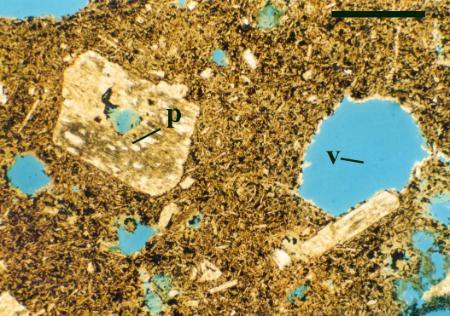 Thin section of andesite showing vesicles (v) and plagioclase phenocrysts (p). Most of the plagioclase and mafic minerals have been hydrothermally altered (scale bar = 1mm). Note: The blue colour in the vesicles is dyed epoxy resin to show void space in the thin section.