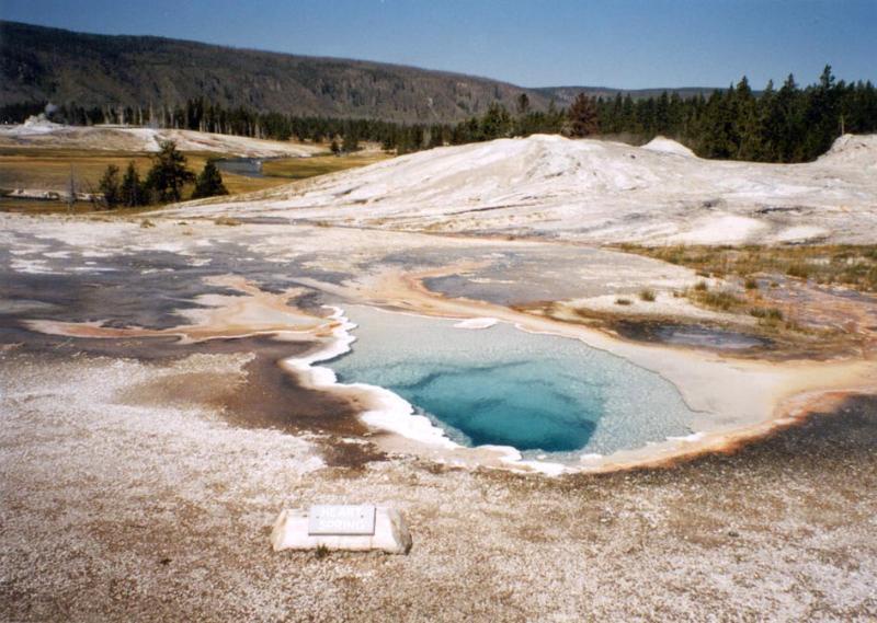 Heart Spring, near the Lion Geyser Complex (centre right background), Yellowstone National Park. This image shows the changes in colours, from pale yellow, to orange to brownish green, created by cyanobacteria in the overflow channels, marking the progressive drop in water temperature from the spring. Notice how close plants are growing to the spring on the right of the photograph. Sinter is being