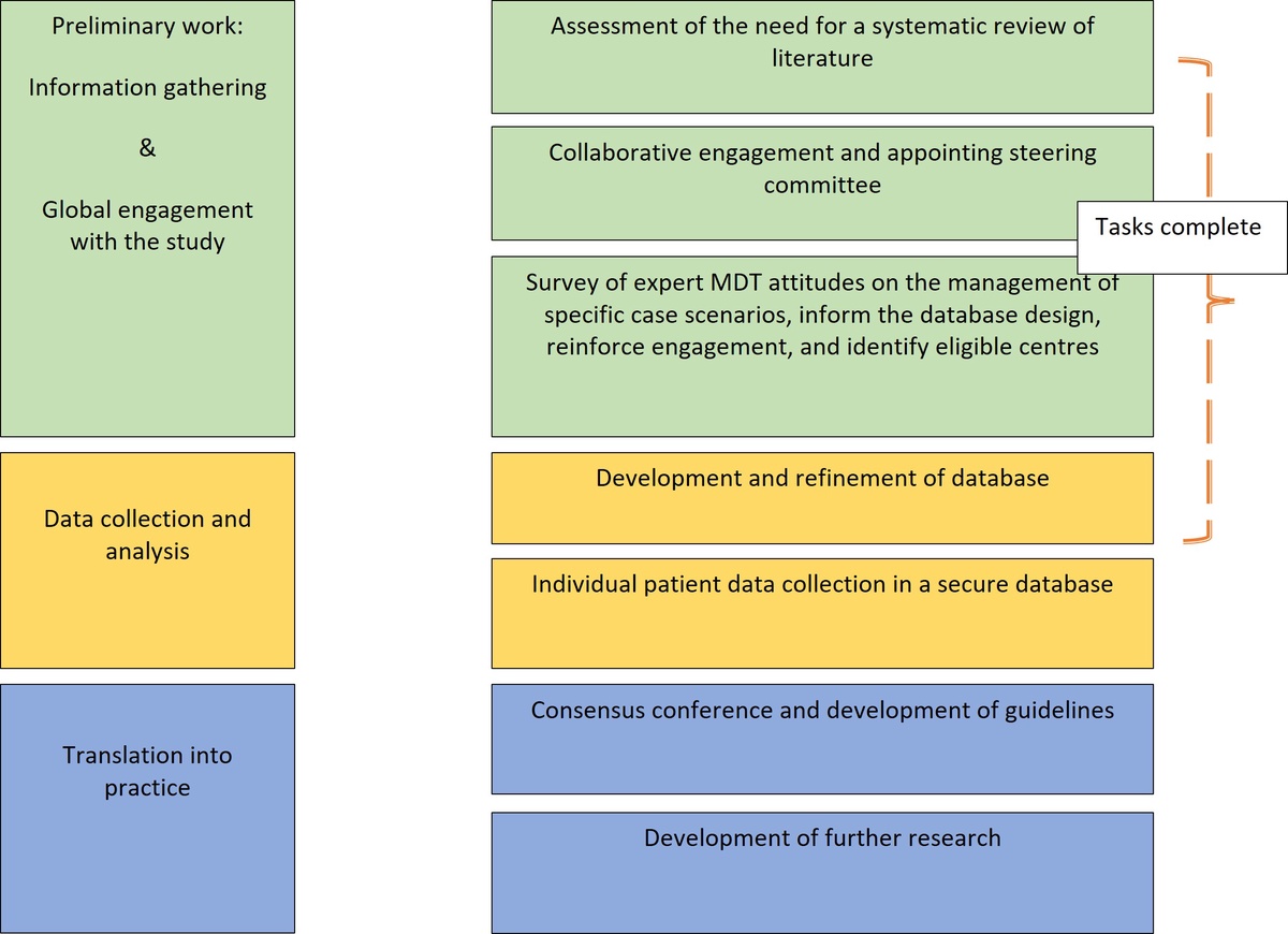 Organisational Chart of the structure of the study