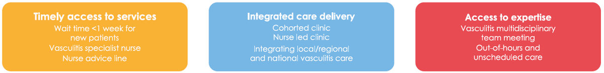 1. Timely access to services, including wait times less than one week for new patients, vasculitis specialist nurses and a dedicated nurse advice line. 2. Integrated care delivery, including cohorted clinics, nurse-led clinics, and integrating local or regional and national vasculitis care. 3. Access to expertise inlcuding vasculitis multidisciplinary team meetings and out-of-hours and unscheduled