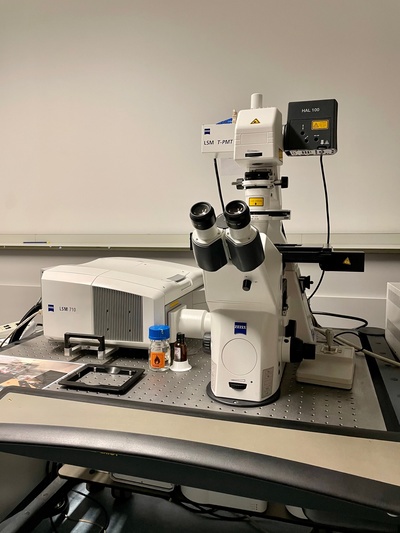 Image of Zeiss LSM710 confocal microscope