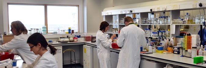 Researchers in the lab