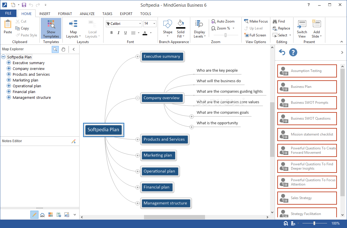 Screenshot of MindGenius mindmap