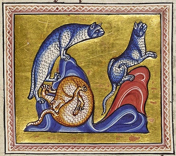 Image of cats from the bestiary