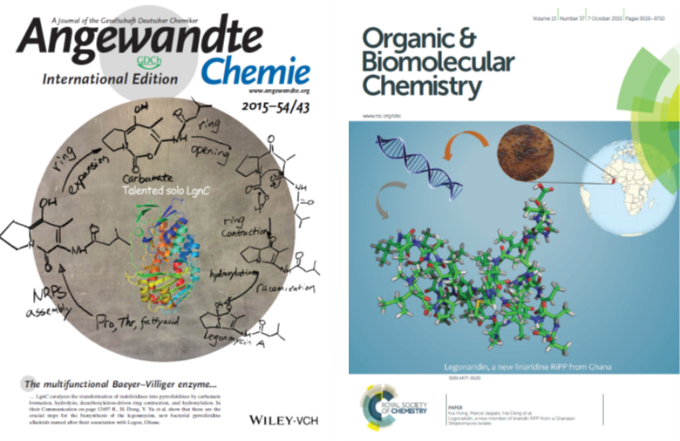 cover page of Angewandte Chemistry (left, showing an enzymtic reaction), cover page of Organic and biomolecular Chemistry (right) showing Legonaridin