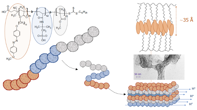 Sketch showing molecular structure of block copolymer and formation of smectic layers.