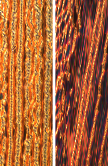 Microscope textures of the twist-bend nematic phase showing the typical rope-like features.