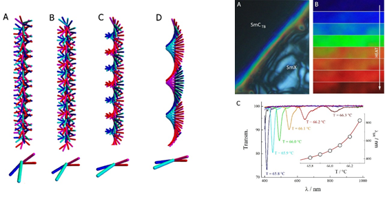 Figures for twist-bend smectic phases. Description in following text.