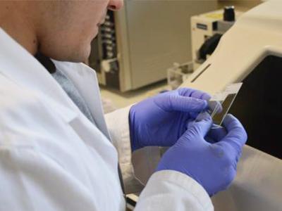 Lab worker looking at microscope slide