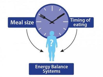 Diagram showing breakfast meal sizes