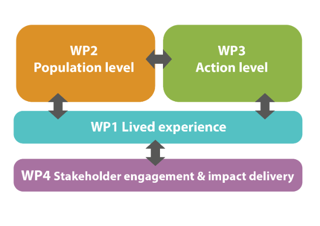 A visual representation of the planned activities of the four work packages