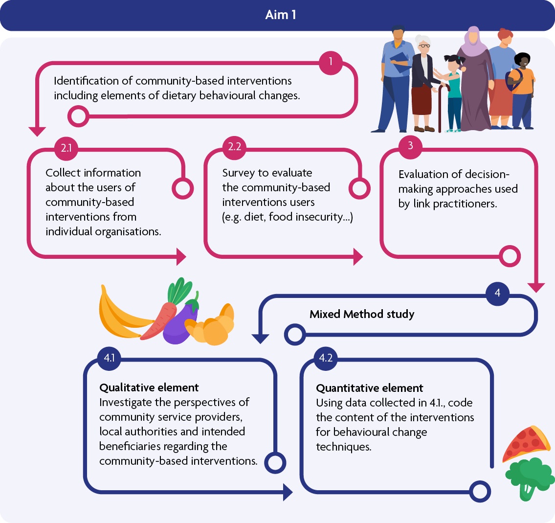 Visual representation of the project objectives within Aim 1.