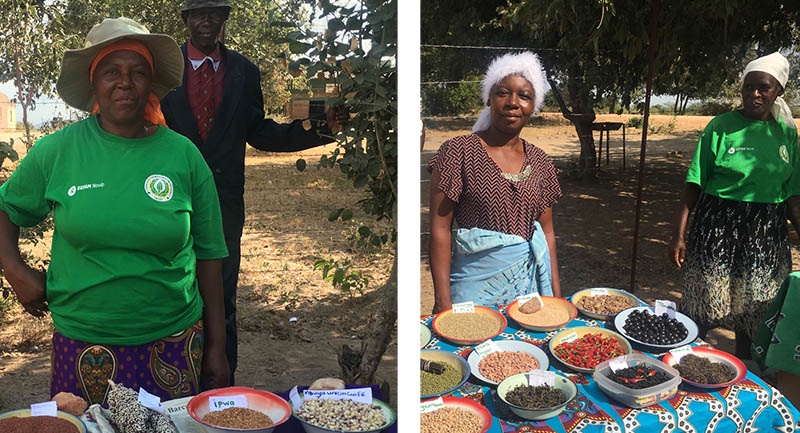 African women farmers