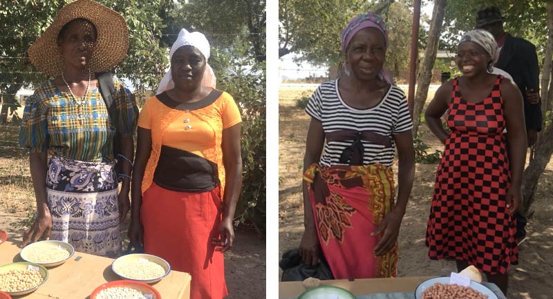 African women farmers