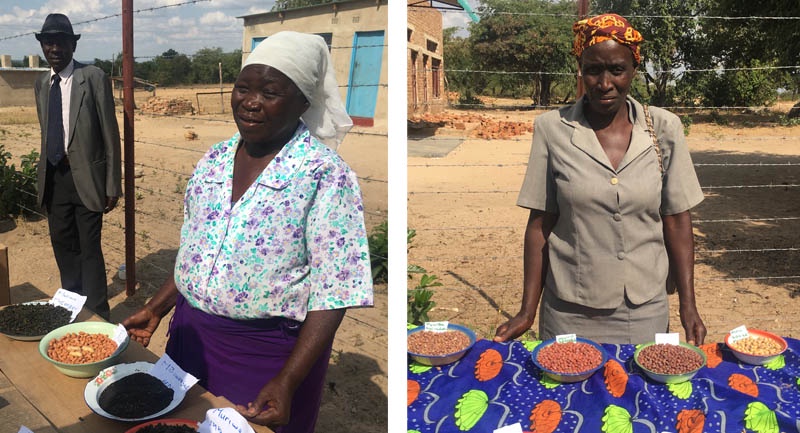 African women farmers