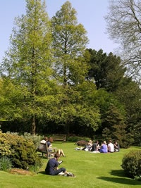 Students in the Cruickshank Gardens