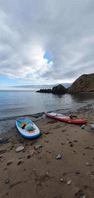 Paddleboards