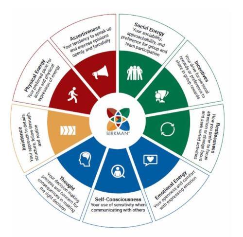 Image of Birkmant Psychometric tool