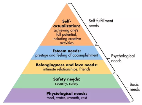 Pyramid of Needs