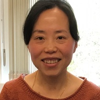 Professor Jing Cai