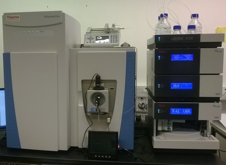 Liquid Chromatography - Tandem Mass Spectrometry (LC-MS/MS)