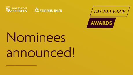Excellence Awards Nominations Logo