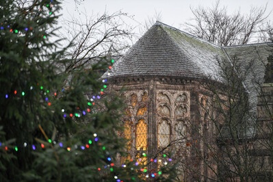 King's College Chapel is just visible in this picture, being partially covered by the campus Christman tree. The tree is covered in coloured lights and the weather is wintery and frosty.