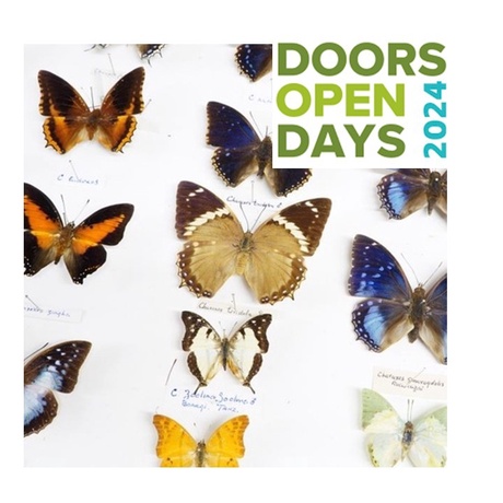 Doors Open Day logo