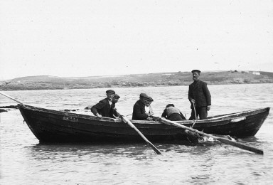 Boat LK331, swimming off cattle from Stenness to Saila for summer grazing. Photo: Brown, W. 1920 ©Shetland Archives.