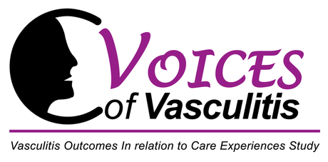 Image of the VOICES logo